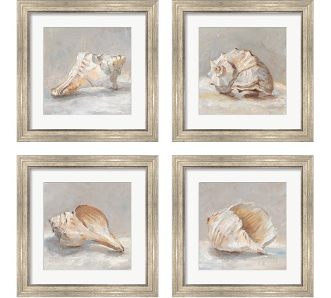 Impressionist Shell Study 4 Piece Framed Art Print Set by Ethan Harper