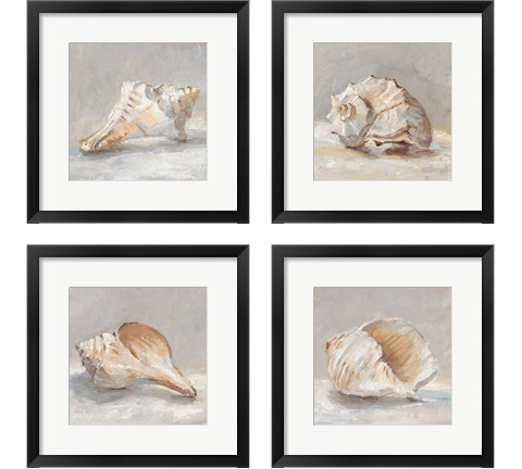 Impressionist Shell Study 4 Piece Framed Art Print Set by Ethan Harper