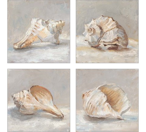 Impressionist Shell Study 4 Piece Art Print Set by Ethan Harper