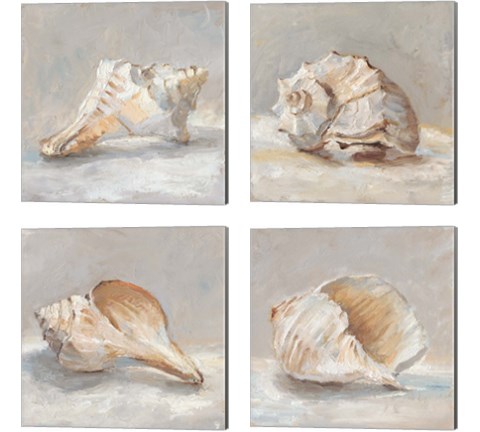 Impressionist Shell Study 4 Piece Canvas Print Set by Ethan Harper