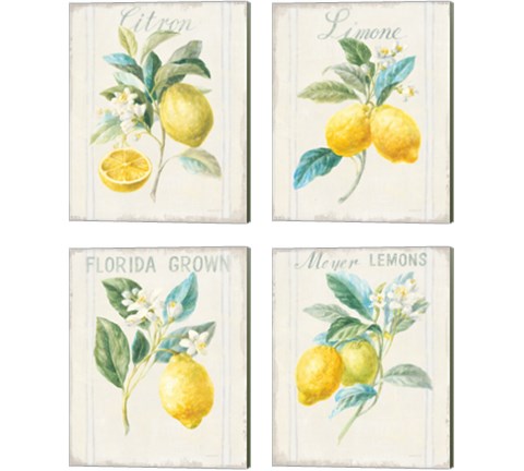 Floursack Lemon 4 Piece Canvas Print Set by Danhui Nai