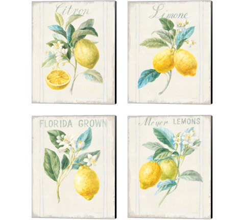 Floursack Lemon 4 Piece Canvas Print Set by Danhui Nai