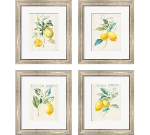 Floursack Lemon 4 Piece Framed Art Print Set by Danhui Nai