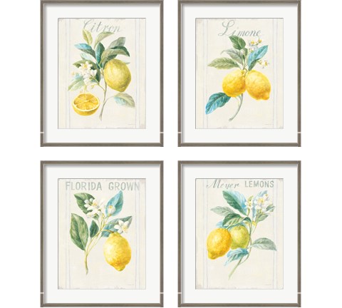 Floursack Lemon 4 Piece Framed Art Print Set by Danhui Nai