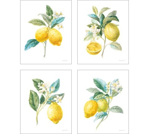 Floursack Lemon on White 4 Piece Art Print Set by Danhui Nai