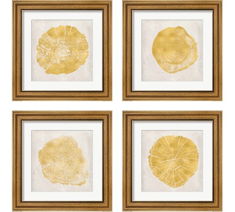 Tree Stump Golden 4 Piece Framed Art Print Set by Ramona Murdock