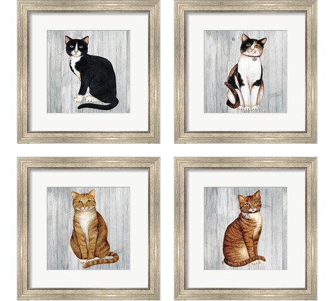 Country Kitty on Wood 4 Piece Framed Art Print Set by David Carter Brown