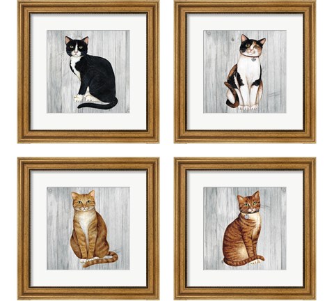 Country Kitty on Wood 4 Piece Framed Art Print Set by David Carter Brown
