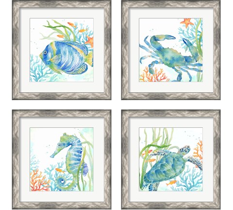 Sea Life Serenade 4 Piece Framed Art Print Set by Cynthia Coulter