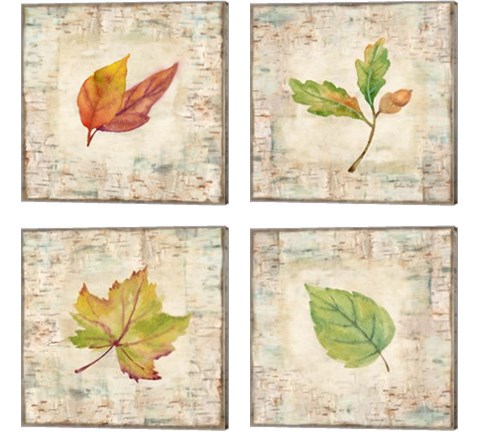Nature Walk Leaves 4 Piece Canvas Print Set by Cynthia Coulter