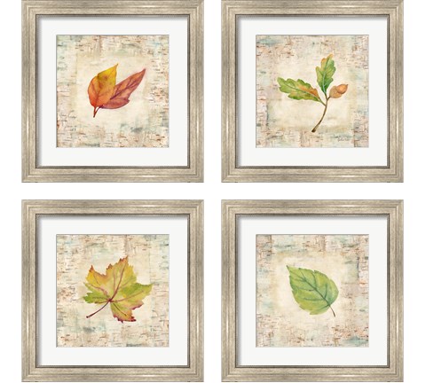 Nature Walk Leaves 4 Piece Framed Art Print Set by Cynthia Coulter
