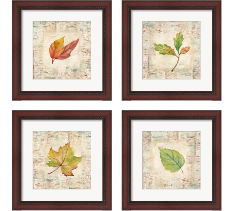 Nature Walk Leaves 4 Piece Framed Art Print Set by Cynthia Coulter
