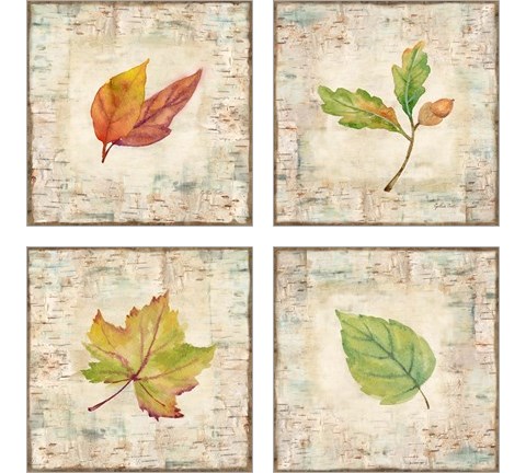 Nature Walk Leaves 4 Piece Art Print Set by Cynthia Coulter