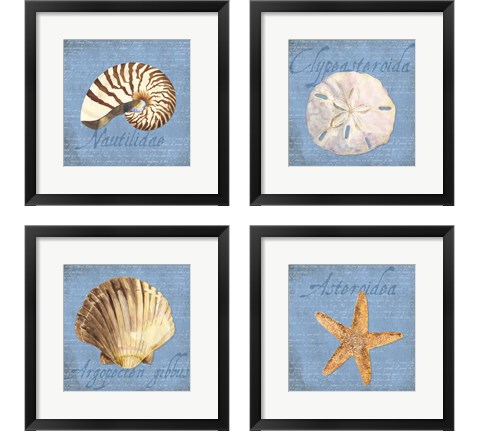 Oceanum Shells Blue 4 Piece Framed Art Print Set by Tara Reed