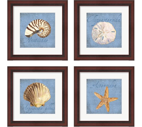 Oceanum Shells Blue 4 Piece Framed Art Print Set by Tara Reed