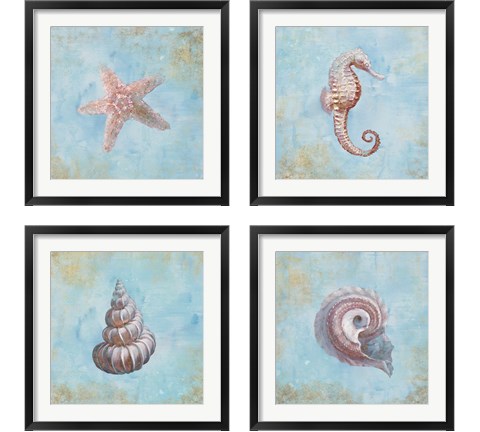 Treasures from the Sea Watercolor 4 Piece Framed Art Print Set by Danhui Nai