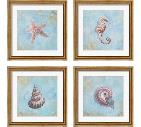 Treasures from the Sea Watercolor 4 Piece Framed Art Print Set by Danhui Nai