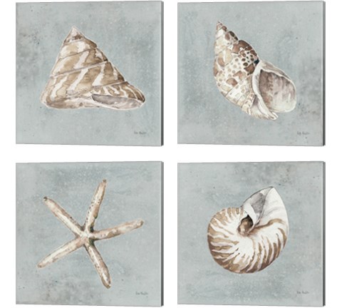 Sand and Seashells  4 Piece Canvas Print Set by Lisa Audit