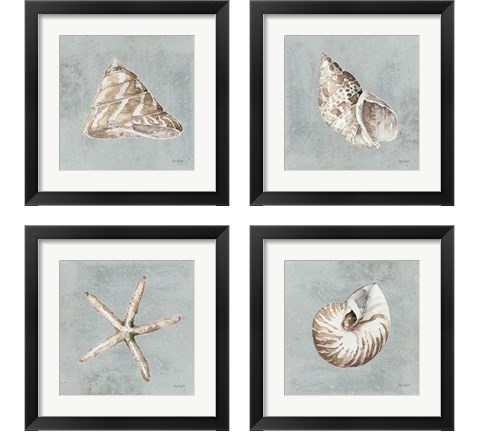 Sand and Seashells  4 Piece Framed Art Print Set by Lisa Audit
