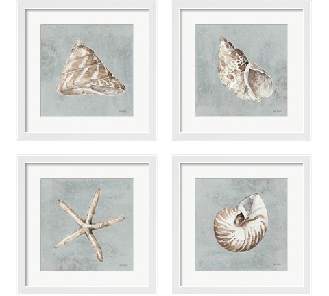 Sand and Seashells  4 Piece Framed Art Print Set by Lisa Audit
