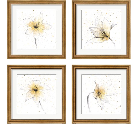 Gilded Graphite Floral 4 Piece Framed Art Print Set by Avery Tillmon