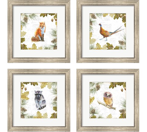 Into the Woods 4 Piece Framed Art Print Set by Emily Adams