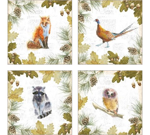 Into the Woods 4 Piece Art Print Set by Emily Adams