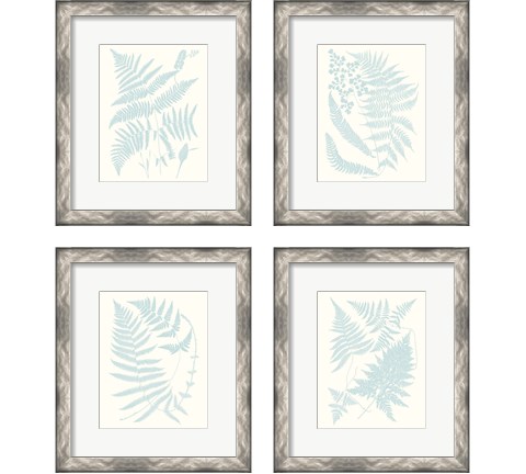 Serene Ferns 4 Piece Framed Art Print Set by Vision Studio