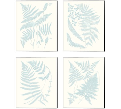 Serene Ferns 4 Piece Canvas Print Set by Vision Studio