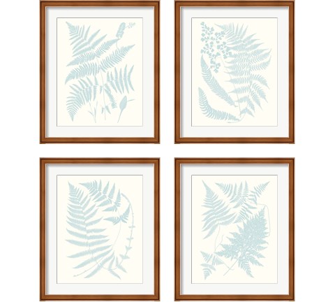 Serene Ferns 4 Piece Framed Art Print Set by Vision Studio