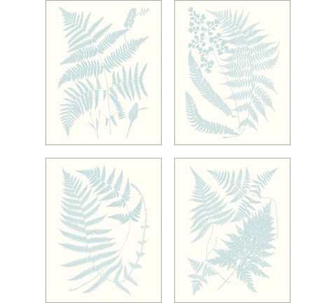 Serene Ferns 4 Piece Art Print Set by Vision Studio
