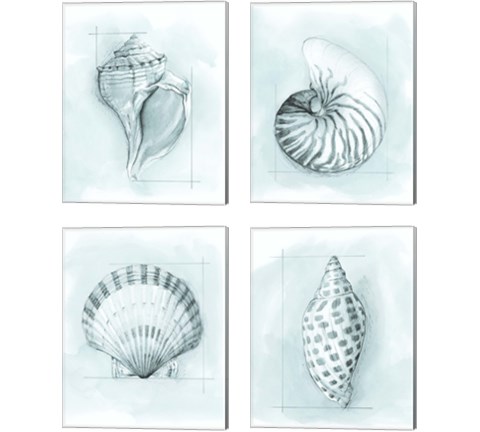 Coastal Shell Schematic 4 Piece Canvas Print Set by Megan Meagher
