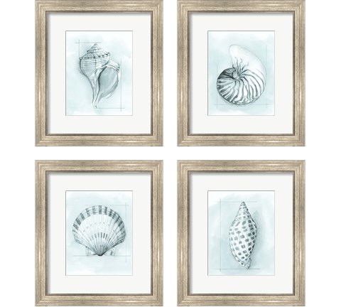 Coastal Shell Schematic 4 Piece Framed Art Print Set by Megan Meagher