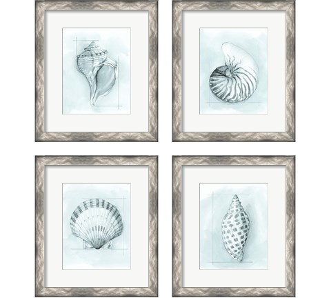 Coastal Shell Schematic 4 Piece Framed Art Print Set by Megan Meagher