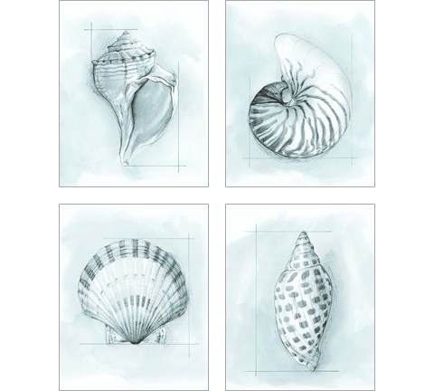 Coastal Shell Schematic 4 Piece Art Print Set by Megan Meagher