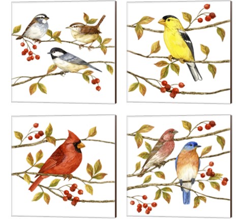 Birds & Berries 4 Piece Canvas Print Set by Jane Maday