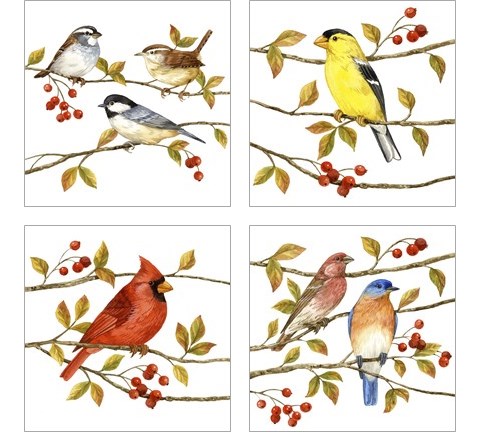 Birds & Berries 4 Piece Art Print Set by Jane Maday