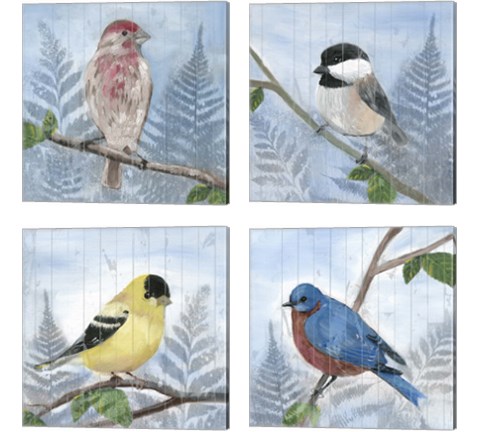 Eastern Songbird 4 Piece Canvas Print Set by Alicia Ludwig