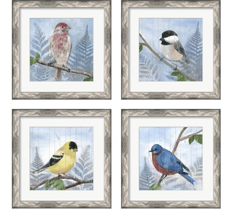 Eastern Songbird 4 Piece Framed Art Print Set by Alicia Ludwig