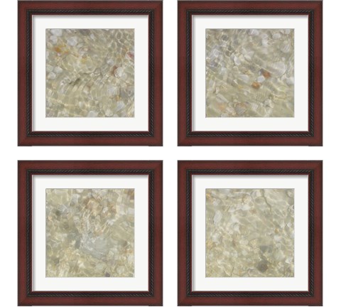 Shell Squares 4 Piece Framed Art Print Set by Pam Ilosky