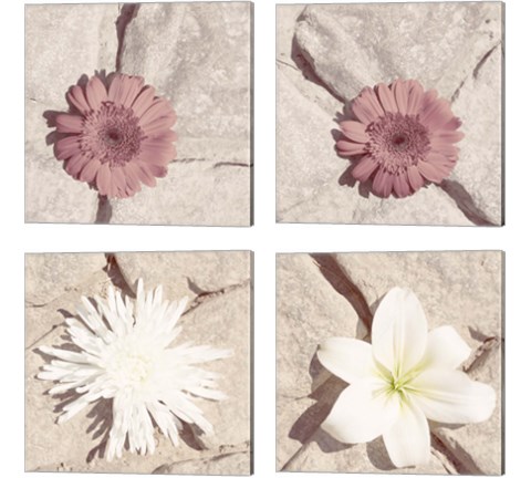 Stone Blossom 4 Piece Canvas Print Set by Jason Johnson