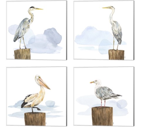 Birds of the Coast 4 Piece Canvas Print Set by Tara Reed
