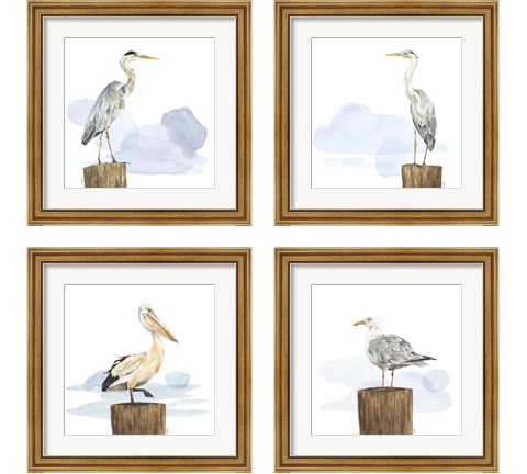 Birds of the Coast 4 Piece Framed Art Print Set by Tara Reed