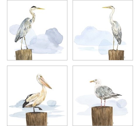 Birds of the Coast 4 Piece Art Print Set by Tara Reed