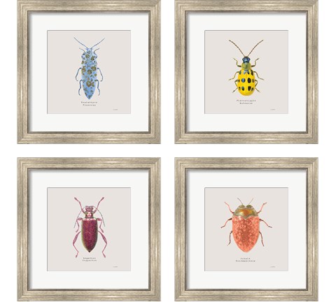 Adorning Coleoptera 4 Piece Framed Art Print Set by James Wiens