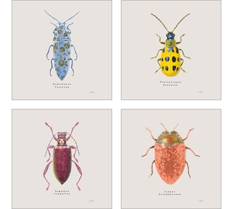 Adorning Coleoptera 4 Piece Art Print Set by James Wiens