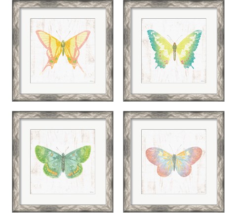 White Barn Butterflies 4 Piece Framed Art Print Set by Sue Schlabach