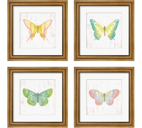 White Barn Butterflies 4 Piece Framed Art Print Set by Sue Schlabach