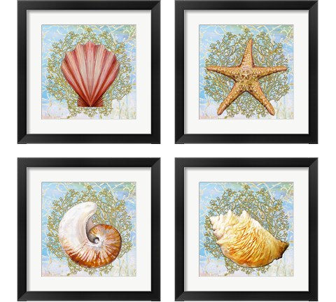 Shell Medley 4 Piece Framed Art Print Set by Diannart