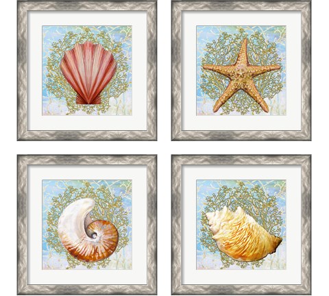 Shell Medley 4 Piece Framed Art Print Set by Diannart